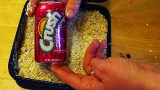 8 Carp bait recipes  Homemade carp bait  How to catch carp [upl. by Aihsetan79]