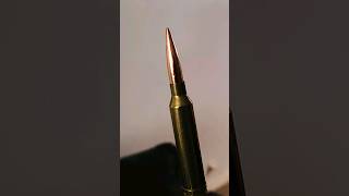 7mm Rem Mag 195 gr EOL Velocity [upl. by Targett142]