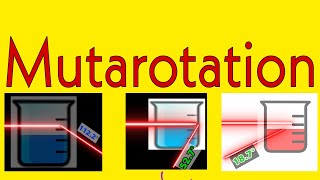 Mutarotation in biochemistry ll Mechanism of mutarotation in biochemistry II Process of mutarotation [upl. by Debera]