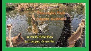 CROCODYLUS Park Eps 17 2024 [upl. by Hirz3]