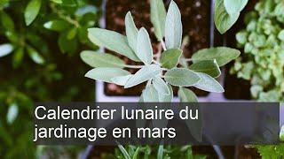 Calendrier lunaire du jardinage mars [upl. by Daphene363]