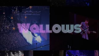 Wallows MSG August 2024 [upl. by Eylk]