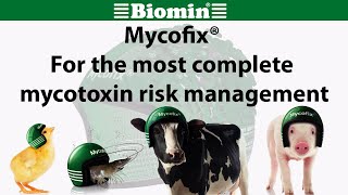 Mycofix®  For the most complete mycotoxin risk management [upl. by Giguere]