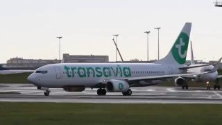 ✈ B737 Transavia France ☛ painted in the new livery ☚ taking off from Lisbon Airport ✈ [upl. by Anawk]