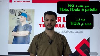 شرح Tibia bone anatomy [upl. by Namyl]