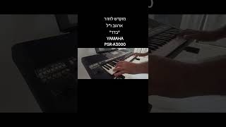 The Yamaha PSRA3000 presents A beautiful recreation of זוהר ארגוב  בדד cover song [upl. by Bald]