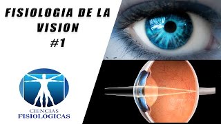 Fisiologia de la Vision 1 [upl. by Kaule]