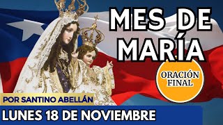 Mes de María Chile 2024  Oración Final  Lunes 18 de Noviembre  Santino Abellán  🙏🌹 [upl. by Lemmor]