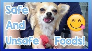 Foods Dogs Can and Cant Eat Safe and Unsafe Foods for Dogs to Eat or Avoid [upl. by Jair]