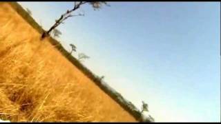 Mountain Biker gets taken out by BUCK Hartebeest [upl. by Asiole884]