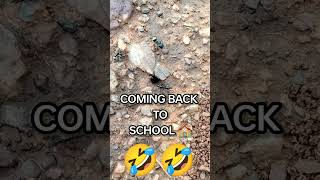 Welcome back to school 🏫🎒 school india viralvideo [upl. by Ettegirb]