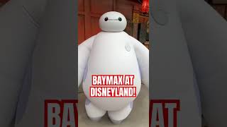 Meet BAYMAX at Disneyland ❤ [upl. by Nolur222]