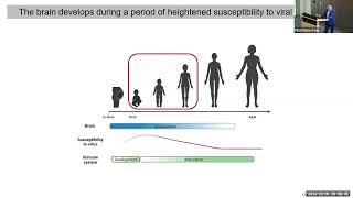 EarlyLife Viral Infection in Mice Leads to LongLasting Changes in Sensory Processing [upl. by Trumaine109]