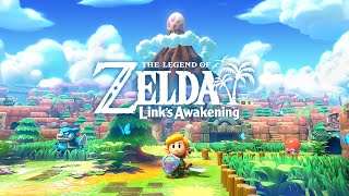 Rapids Ride Parental Controls  The Legend of Zelda Links Awakening Switch [upl. by Fidellia]