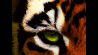 Eye of The Tiger club mix [upl. by Dar]