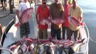 Tuna fishing  Red snapper fishing  Wahoo fishing  Grand isle  Tuna charters [upl. by March928]