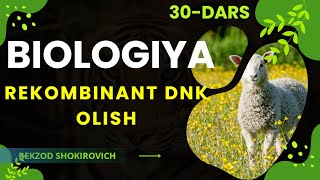 30Mavzu Rekombinant DNK olish [upl. by Danialah]