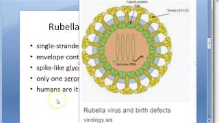 Microbiology 490 a Congenital Rubella Syndrome Virus Salt pepper retinopathy Pregnancy Fetus TORCH [upl. by Giacopo]