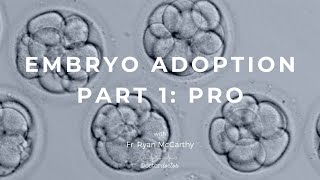 Embryo Adoption Part 1 Pro with Fr Ryan McCarthy [upl. by Notnarb608]