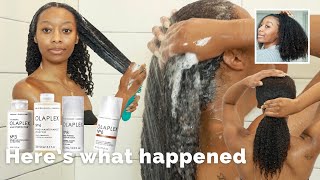 I Used The Olaplex System On My Natural Hair And [upl. by Greene]