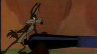 Wile E Coyote Genius Award [upl. by Eissahc]