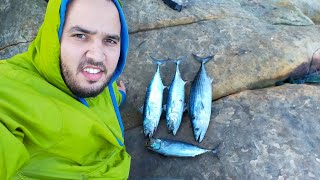 shore jigging صيد شور جغينغ نشاط مع بكورة [upl. by Nhguavoj]