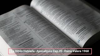 La Biblia Hablada Apocalipsis Cap 20 Reina Valera 1960 [upl. by Iana455]