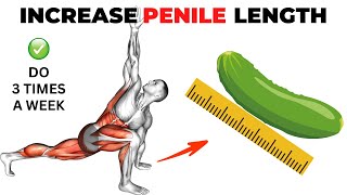 Pelvic Floor Exercises For Men To Increase Your Length Naturally [upl. by Isla]