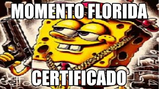 MOMENTO FLORIDA CERTIFICADO [upl. by Adnerol]