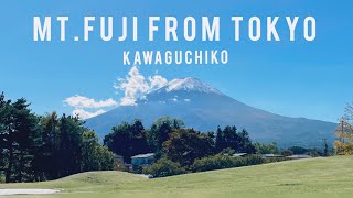 Mt Fuji Kawaguchi Lake  The Perfect Day Trip from Tokyo [upl. by Gothard]