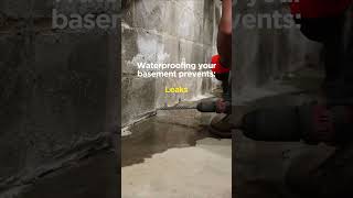 Waterproofing Your Basement Prevents Mold Leaks and Moisture basementwaterproofing wetbasement [upl. by Emoraj]