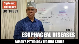 Systemic Pathology Lecture 01  Esophageal Diseases Day 01 [upl. by Eckart]