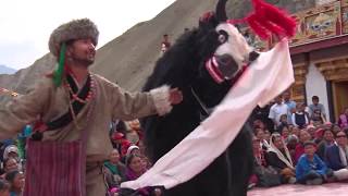 Beautiful Yak Dance amp Song  LEH LADAKH  Tserkarmo monastery [upl. by Nakasuji]