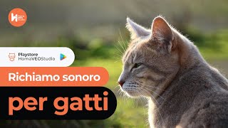 Suoni per Gatti  Richiamo per Gatto [upl. by Lock]