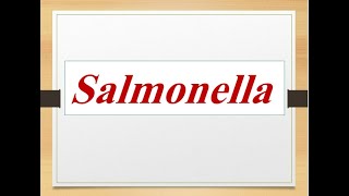 Classification of salmonella medically important species quotMedical microbiology [upl. by Mulligan]