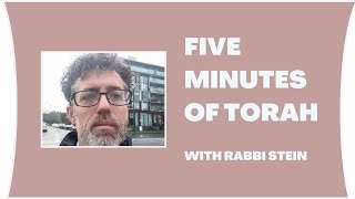 Five minutes of Torah with Rabbi Stein [upl. by Felike641]