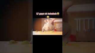 Chicken wings Twurkey turkey foryou fyp fypシ゚viral funnyvideo dance [upl. by Rutra]