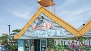 Southend Sea life Adventure ⭐Top Attraction⭐ [upl. by Mureil]