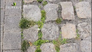 Éliminer les mauvaises herbes dans une allée  Truffaut [upl. by Namar]