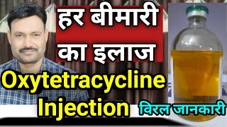 Oxytetracycline Injection Veterinary uses ऑक्सीटेटरासाइक्लिन इंजेक्शन का पशु चिकित्सा में उपयोग [upl. by Aseena]