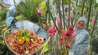 MASAK DARI HASIL KEBUN BELAKANG RUMAH  Jimat banyak takperlu beli lauk dah [upl. by Dinsdale421]