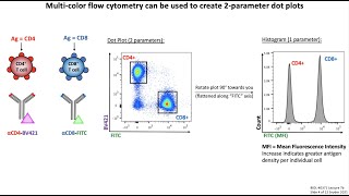 Lecture 7b Flow Cytometry [upl. by Whyte]