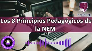 Podcast Los 8 principios pedagógicos de la NEM [upl. by Milewski]