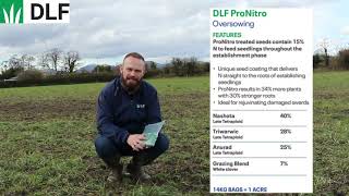 DLF ProNitro  coated grass seed for oversowing damaged paddocks [upl. by Onileba180]