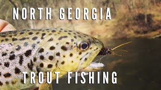 North Georgia Trout Fishing  Toccoa River Collaboration [upl. by Hannahsohs]