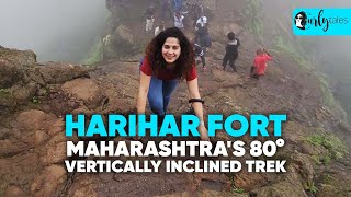 I Went On Maharashtras 80° Vertically Inclined Trek At Harihar Fort In Nashik  Curly Tales [upl. by Ayiotal465]