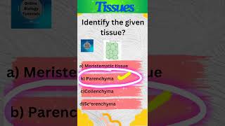 Parenchyma  Plant tissues  Tissues  Class 9 Science  shorts [upl. by Ejroj]