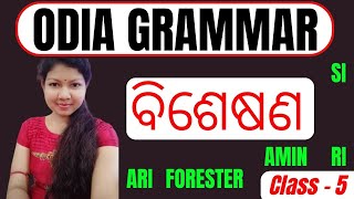 ODIA GRAMMAR  ବିଶେଷଣ Special Class for Bisesya FORESTER FOREST GUARD ARI SI RI ARI AMIN [upl. by Ashlen65]