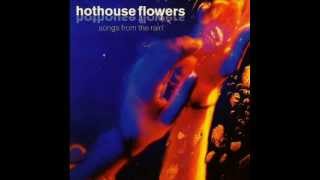 Hothouse Flowers  Stand Beside Me [upl. by Hoeve]