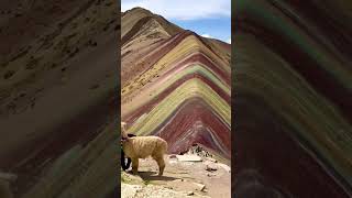 MIRACLE OF NATURE SEVENCOLORED MOUNTAIN legend rainbow nature Peru tourist love miracle [upl. by Fellner]